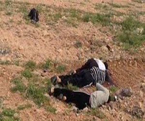   مصر اليوم - طائرة قتلى ليبيا الـ7 تصل إلى مطار القاهرة